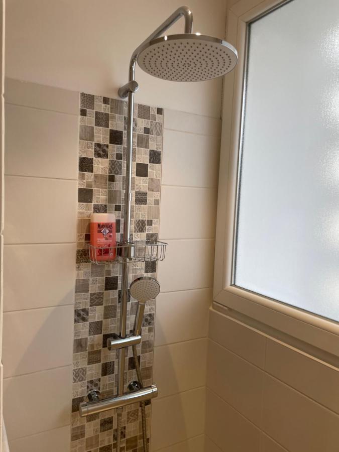 Appartement Du Lion Belfort Εξωτερικό φωτογραφία