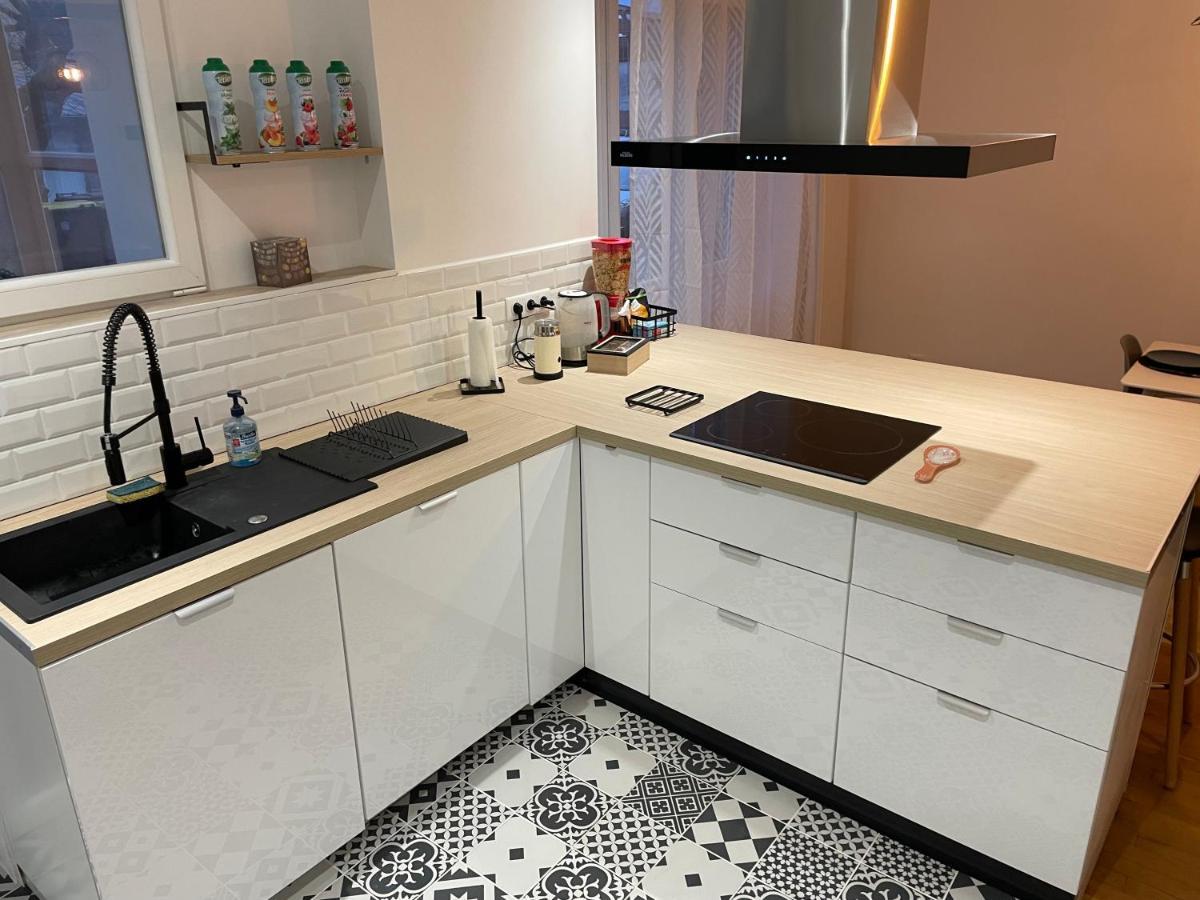 Appartement Du Lion Belfort Εξωτερικό φωτογραφία