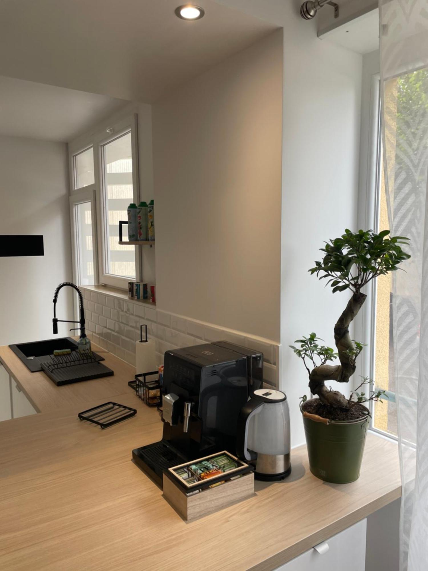 Appartement Du Lion Belfort Εξωτερικό φωτογραφία